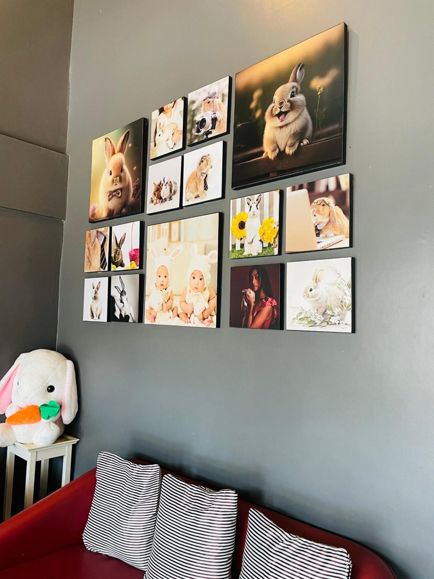 Rabbitel Phuket 호스텔 외부 사진